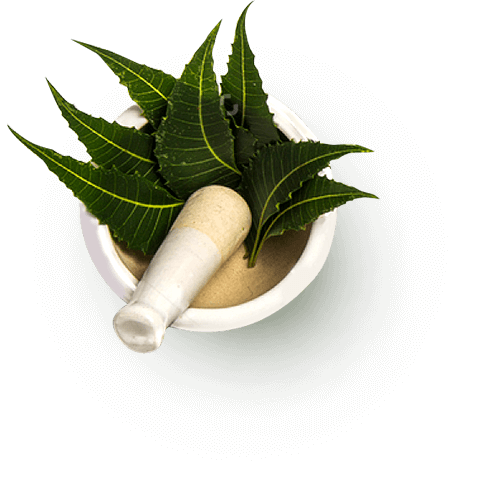 Ayurveda treatment in Navrangpura
